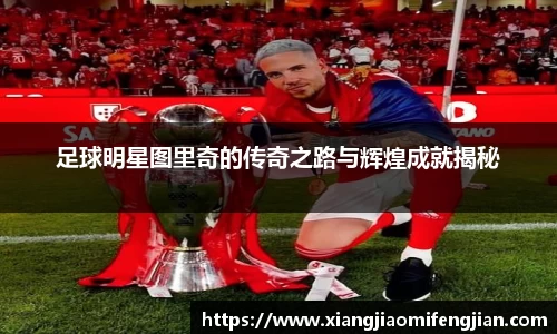 足球明星图里奇的传奇之路与辉煌成就揭秘