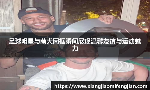 足球明星与萌犬同框瞬间展现温馨友谊与运动魅力