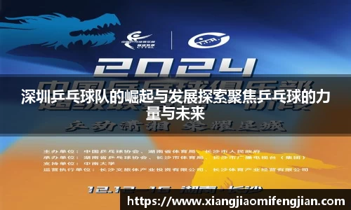 深圳乒乓球队的崛起与发展探索聚焦乒乓球的力量与未来